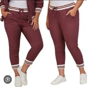 NWT Torrid Mauve Pink Jogger Pants with Striped Cuffs Size 3 Short (22/24)